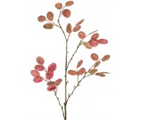 Цветок искусственный «ветка денежного дерева» длина=120 см. (кор=1шт.)