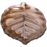 Блюдо «luster leaf» fume 37см без упаковки (мал 4шт)